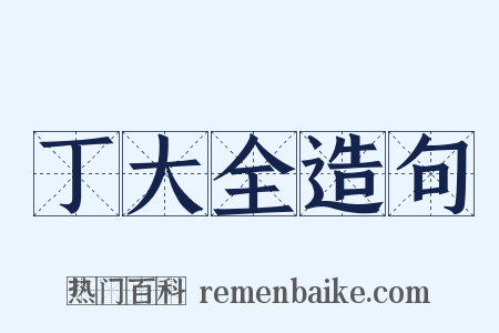 丁大全造句是什么意思的图片